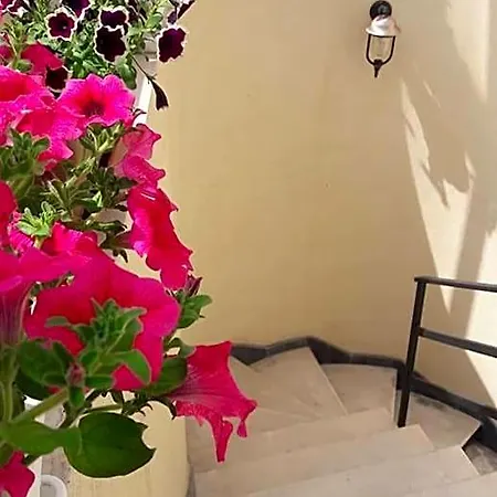 Palazzo Reginella Lejlighedshotel
