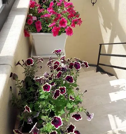 Palazzo Reginella Apartmanhotel 2*